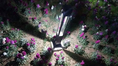 Газонный фонарь (уличное освещение)