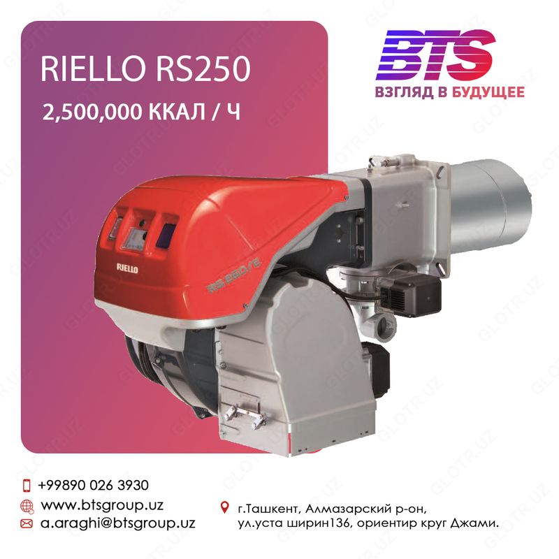 Riello RS250M