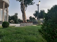 Парковое освещение