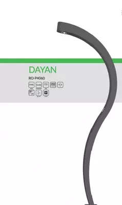 Дорожный светильник DAYAN, RO-P4060