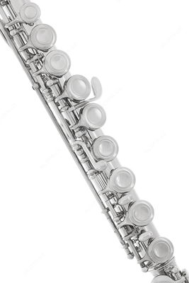 1 750 000 so'm / dona LazEYTA Lazarro Flute (AQSh)