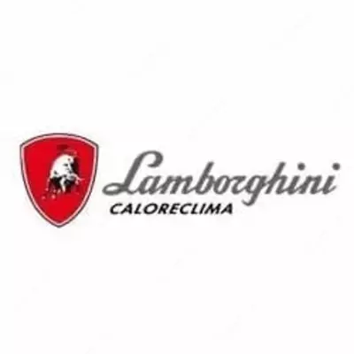 Газовый настенный котел  Газовый настенный котел "Lamborghini TAURA 32 MC W TOP" (Италия)