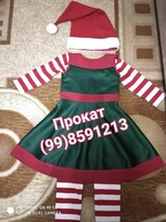 Аренда детского костюма Эльф