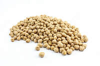 Eksport. Ozbekistondan noxat noxati