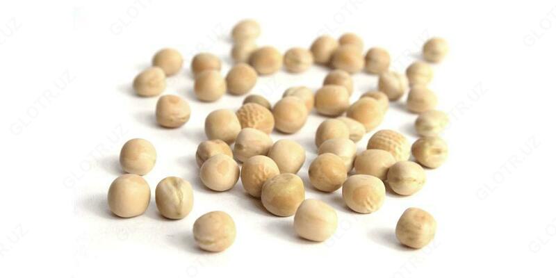   Eksport. Ozbekistondan noxat noxati