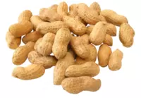 Экспорт Арахис в скорлупе из Узбекистана