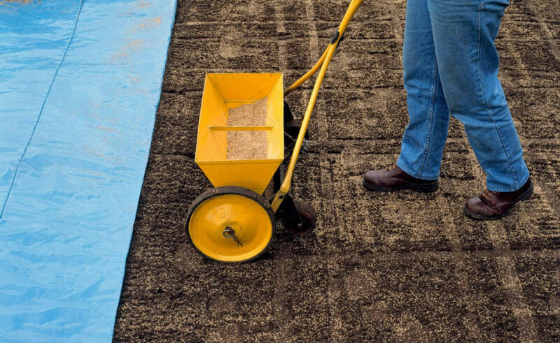  Посадка газона - 