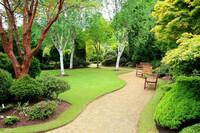   Посадка газона