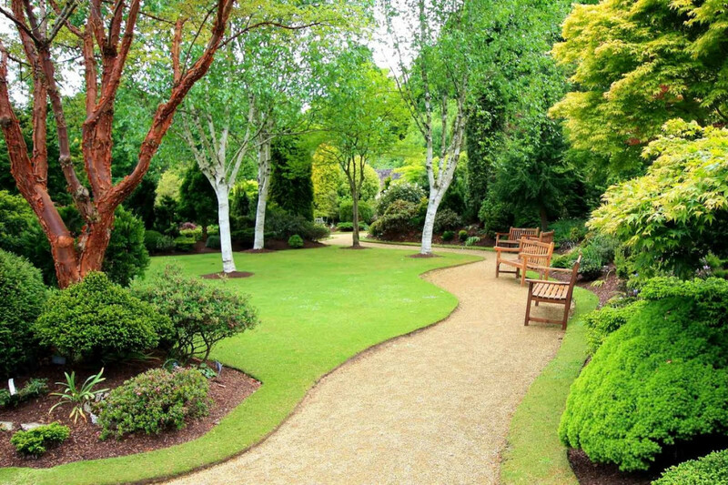   Посадка газона