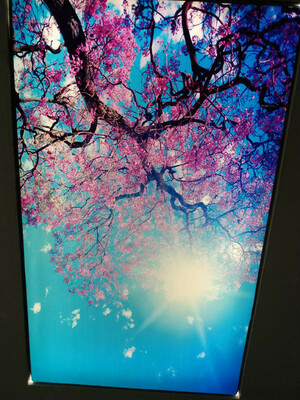 Натяжные потолки с фотопечатью