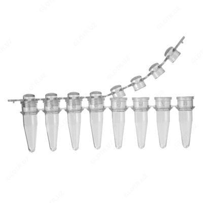 DNK / RNKsiz chiziqlardagi 0,1 naycha. Steril, pirogensiz.