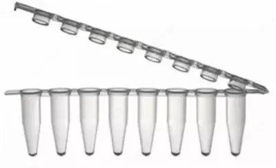 PCR-0802-FC Пробирки 0,2 для ПЦР в стриппах