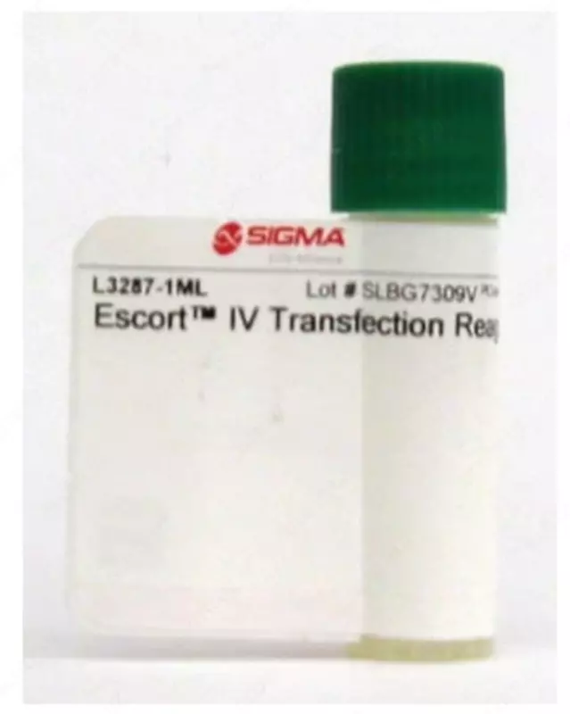 L3287-1ML Escort™ IV Transfection Reagent, sutemizuvchilar va hasharotlar hujayralarining vaqtinchalik va barqaror transfeksiyasi uchun lipid reagenti, 1ml