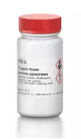 T4799-10X5G Трипсин из поджелудочной железы свиньи