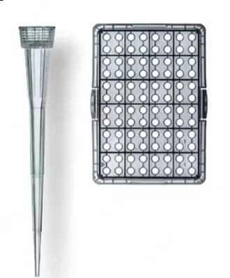 Z740028-2000EA BRAND (R) PIPETTA MASLAHATLARI, NAQD, 0,5-20 UL, 2000 dona