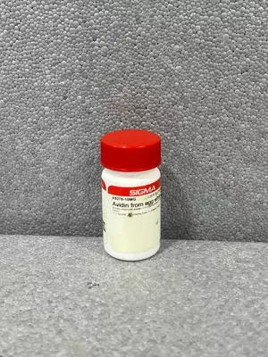 A9275-10MG Авидин из яичного белка