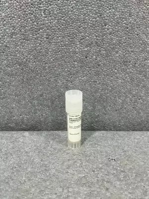 E2164-100UN Endo-1,4-β-D-glyukanaza Acidothermus cellulolyticus dan