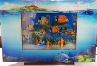 Аквариум камера