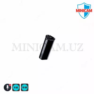 Мини диктофон – 100 часов записи