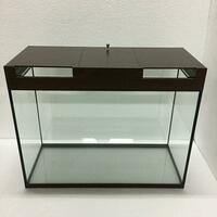 Akvarium uchun 75 litr 60 sm uzunlikdagi 50 sm kenglikdagi 25 sm samaquaman