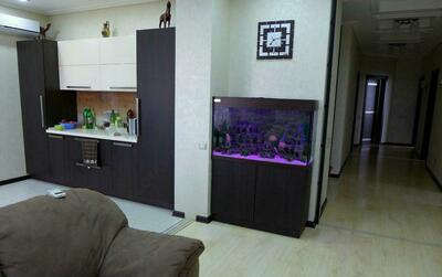 Аквариумы на заказ