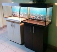 ACRYL bilan akvarium 250 litr uchun 100 sm uzunlikdagi 150 sm balandlikka ega - {0} so'mdan
