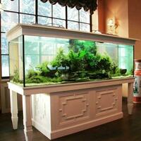 ремонт и изготовление аквариумов – наше любимое дело. - 100 000 сум