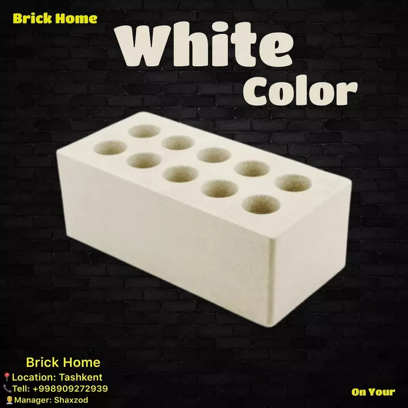 Fasad gishtlari (Gisht uyi)