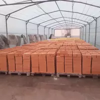 Кирпич Красный OOO "SANDIRON CERAMIC"