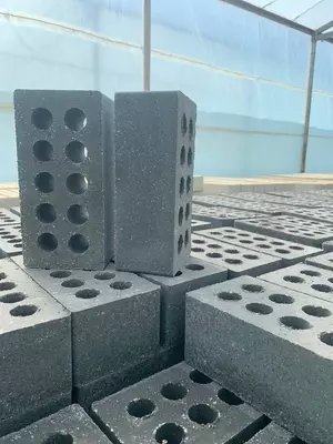 Nam g‘isht - 2 800 so'm 1 donadan