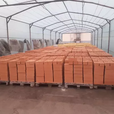 Кирпич цвет персик - 3 200 сум от 1 шт