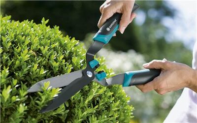 Ножницы Boxwood Comfort (art №00399-20) - 407 040 сум / шт.