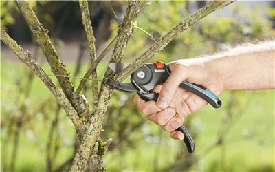 Секатор GARDENA Anvil #8903-20 - 308 460 so'm / dona