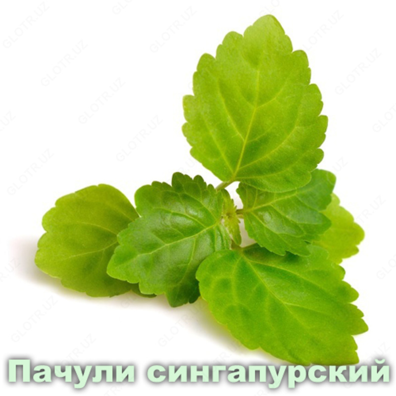 Эфирное масло Пачули Вивасан Швейцария - 170 170 сум