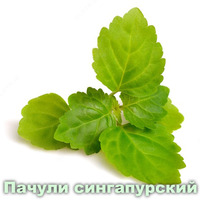 Эфирное масло Пачули Вивасан Швейцария - 170 170 сум