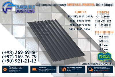 Профнстил МП20 0