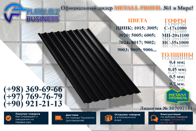 Профнстил МП20 0