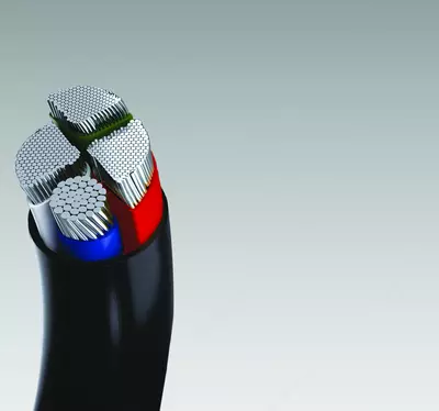 66/1кВ с алюминиевой жилой с ПВХ изоляцией и оболочкой марки АВВГ/АВВГнг(А)/АВВГнг(А)-LS 1х2