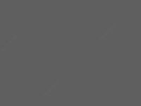 Краска BND GX013 PU S.glossy - от 77 761 сум