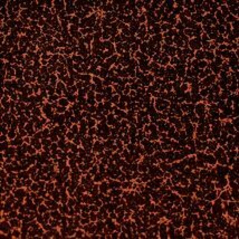 Antik Cooper N680 bo'yoq - 77 761 so'mdan