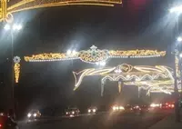 Светодиодные конструкции N36