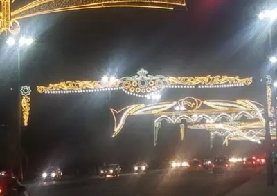 Светодиодные конструкции N36 - Цена по запросу