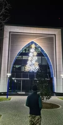 Светодиодные конструкции N42 - Цена по запросу