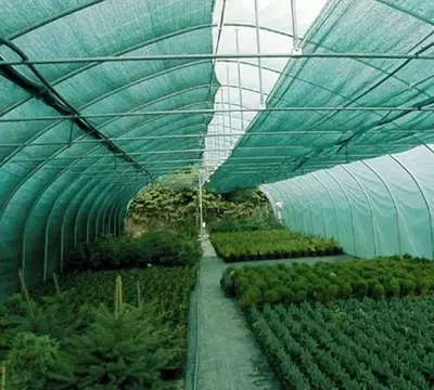 Сетка от солнца 55% 10м РОССИЯ - 3 716.7 сум / м