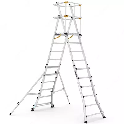 Лестница ТЕЛЕПРО платформе CAGSAN