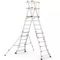 Лестница ТЕЛЕПРО платформе CAGSAN