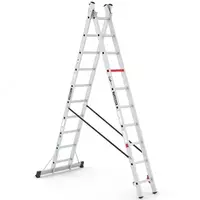 Лестница двухсекционный TSA6  10 st Cagsan