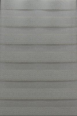 Рулонные жалюзи "День-Ночь" №27