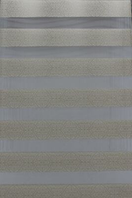 Рулонные жалюзи "День-Ночь" №27