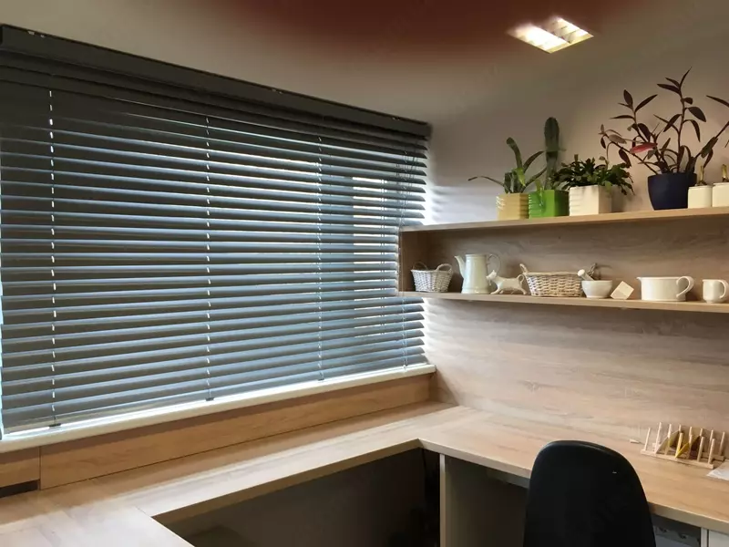 Горизонтальные алюминиевые Жалюзи № 5